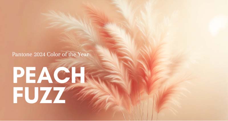 Peach Fuzz a Pantone 2024-es év színe